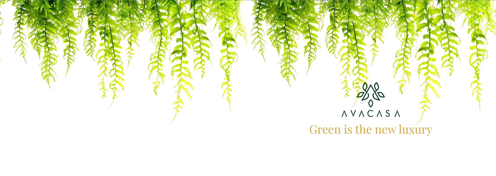 Product banner 1