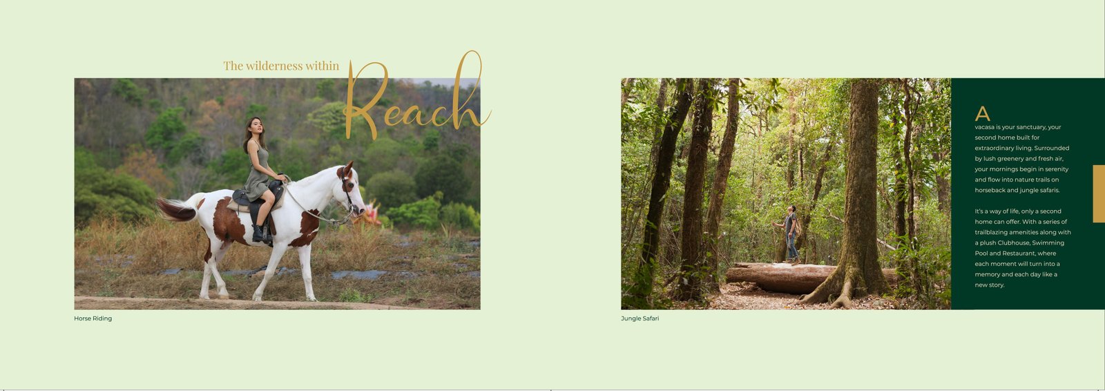Product banner 17