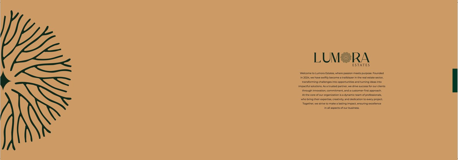 Product banner 2
